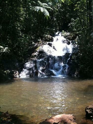 Hostal Pousada Verde Folhas