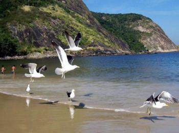 Paraiso De Itaipu
