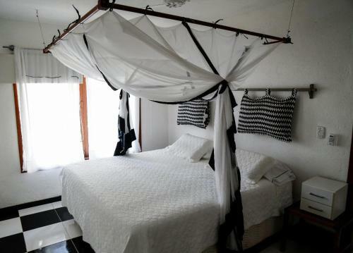 Casas Maria Jose