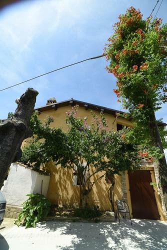 Agroturismo Agriturismo " La Valle Degli Ulivi"