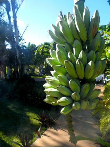 Agroturismo Kalani Hawaii Private Lodging