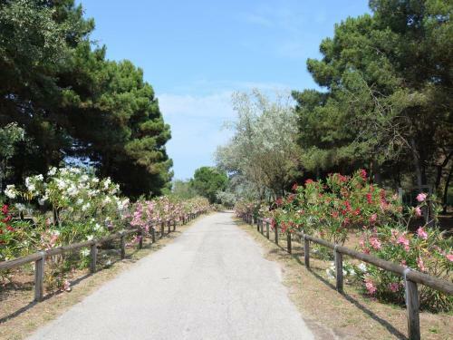 Camping Mare E Pineta