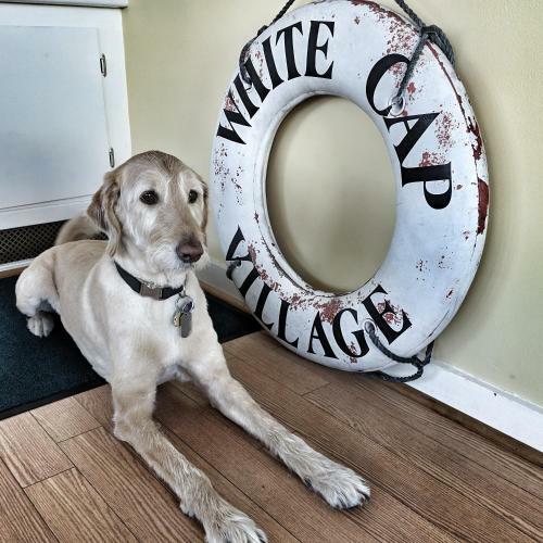 Motel White Cap Village