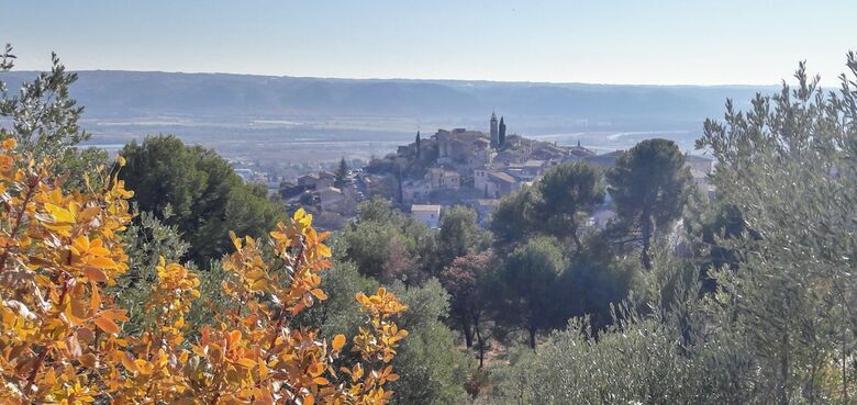 Bed & Breakfast Provence Dodo
