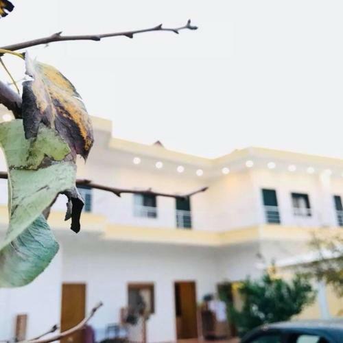 Hotel Kompleksi Turistik Edir