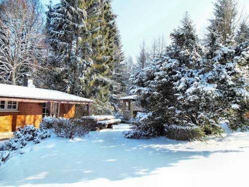 Authentic Chalet In Wibrin With Sauna