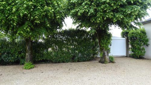 Bed & Breakfast Moulin De Reigner