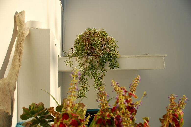 Apartamento The House