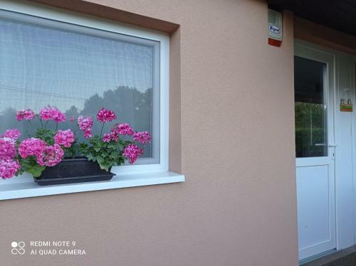 S�rgapart Holiday Home