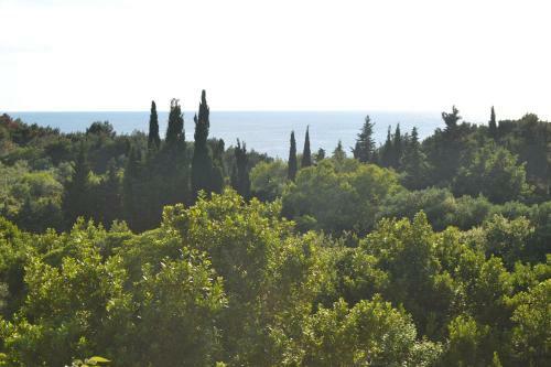 Apartamentos Villa Villija