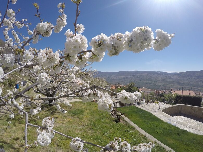 Agroturismo Casa Rural El Regajo Valle Del Jerte