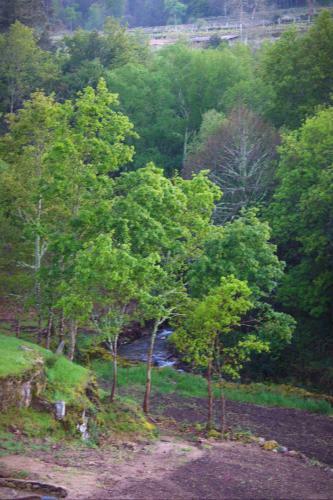 Villa Melga�o Alvarinho Houses