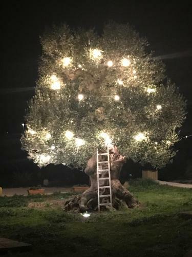 Masseria Gelsi B&B And Events