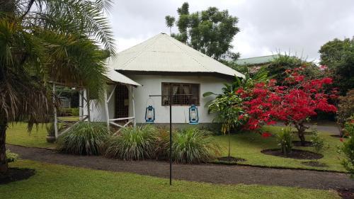 Bed & Breakfast Blues & Chutney Country