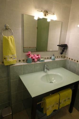 Apartamento Appartements Standings � Cayenne