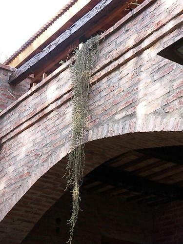 Posada El Manantial