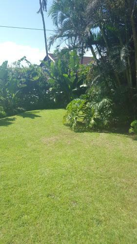 Shelly Beach Lodge
