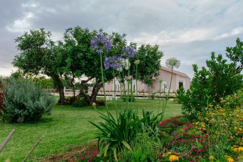 Bed & Breakfast Barokhouse