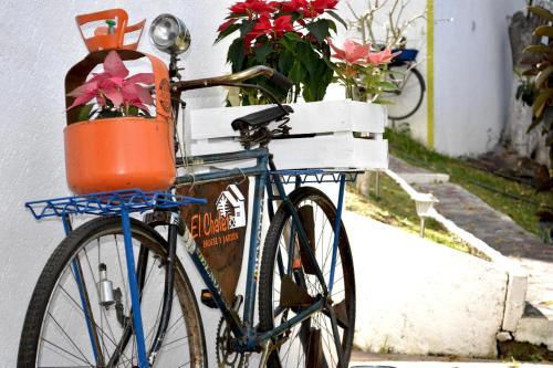 Hostal Caba�as El Chalet