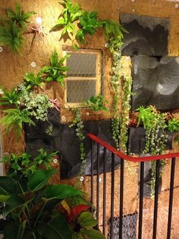 Hualien Wow Hostel