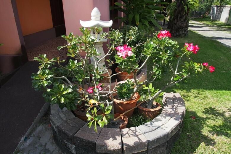 Apartamento Coco House Samui