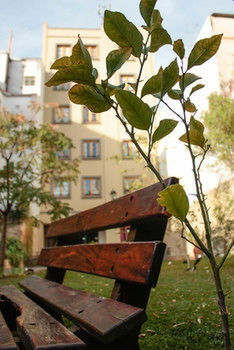 Hotel Entis Residencia Universitaria