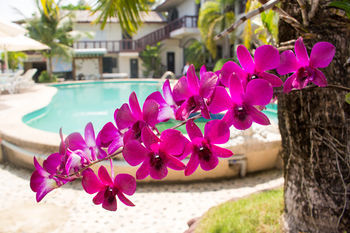 Apartamento Noblesse Resort