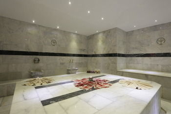 Alenz Suite