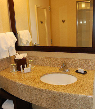 Hotel Courtyard By Marriott Downtown Memphis