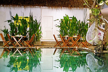 Hotel Green Leaf Boutique