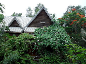 Hotel Natural Bungalows Restaurant And Bar