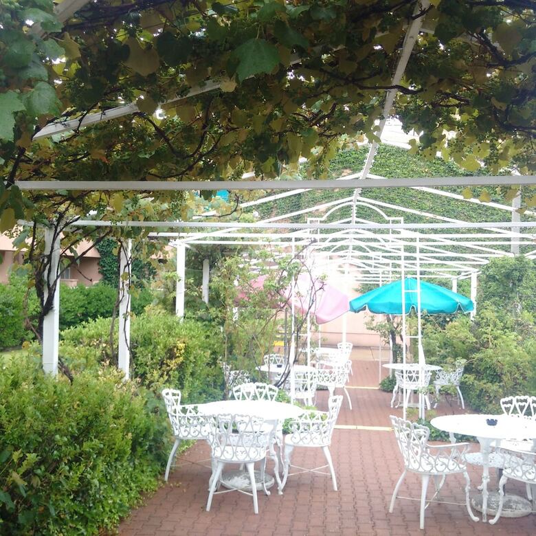 Forest Villas Hotel - Prescott