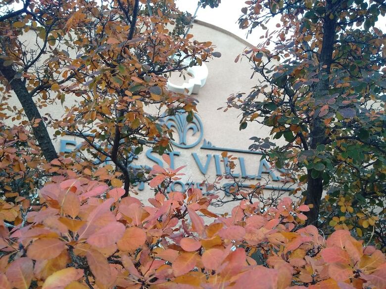 Forest Villas Hotel - Prescott