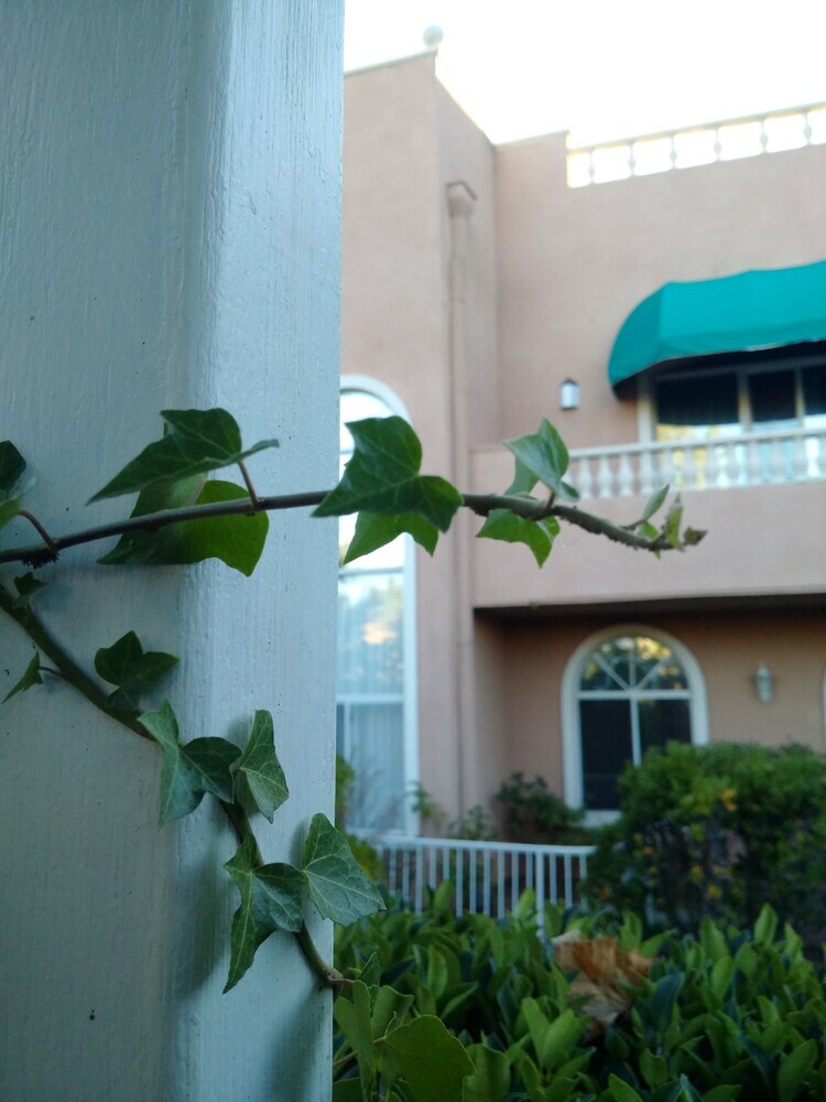Forest Villas Hotel - Prescott