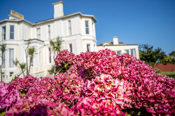 The Rutland Hotel