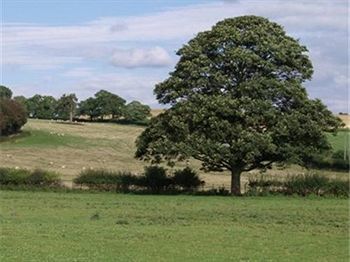 Quixhill Denstone - Exmoor B&B