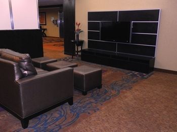 Hotel Holiday Inn Rochester Downtown