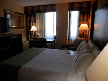 Hotel Holiday Inn Rochester Downtown