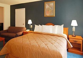 Hotel Comfort Inn Bristol