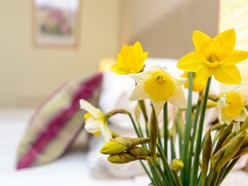 Bed & Breakfast Border House B & B