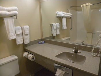 Hotel New Victorian Inn And Suites