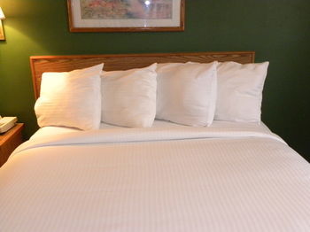 Hotel New Victorian Inn And Suites