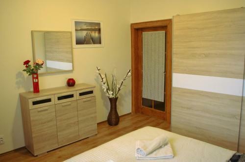 Spacious Prague View Apartment