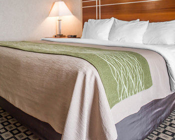 Hotel Comfort Inn Clarion