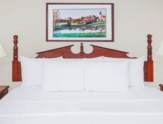 Hotel Baymont Inn And Suites Elkhart