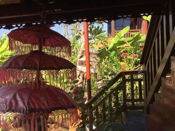 Hotel Mahogany Cottage