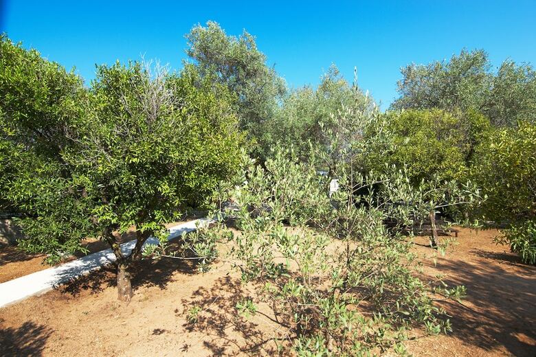 Apartamento Villa Arancio