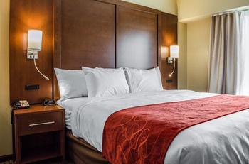 Hotel Comfort Suites Manheim - Lancaster