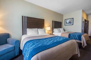 Hotel Comfort Inn & Suites