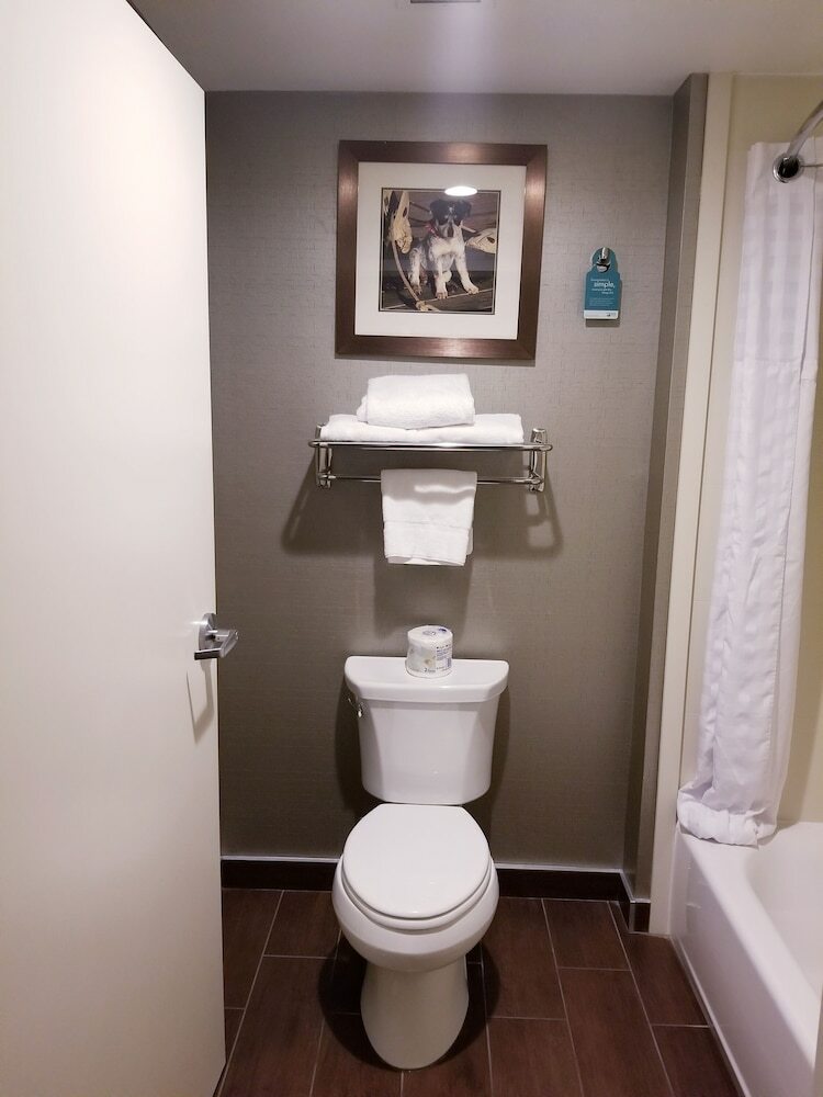 Hotel Homewood Suites By Hilton Calgary-airport, Alberta, Canada